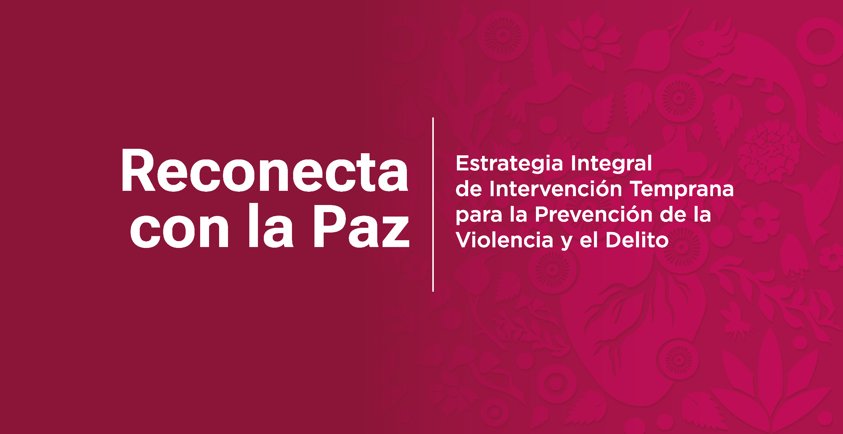 Bienvenidos a Reconecta con la Paz