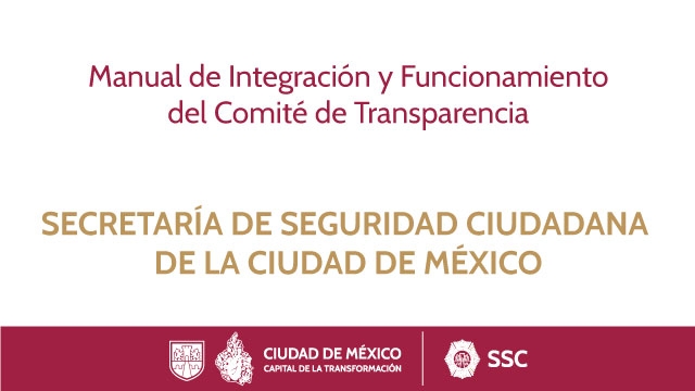 Manual Comité Transparencia