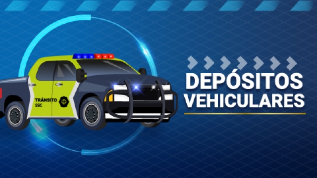 Depósitos Vehiculares