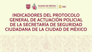 banner-indicadores-protocolo-cdmx-2025.jpg