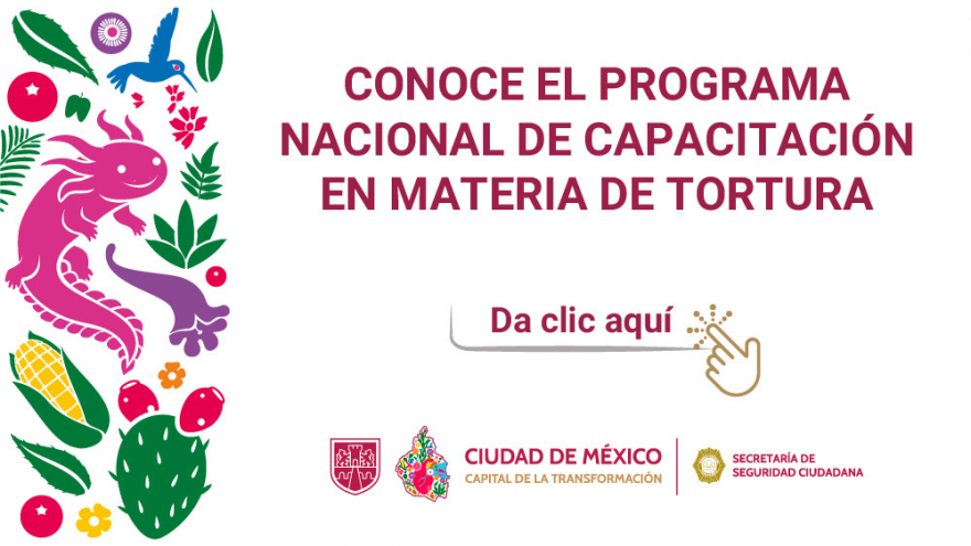 Programa Nacional de Capacitación en Materia de Tortura