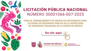 bannerlpn07.jpg