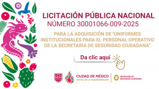 Licitación-30001066-009-2025.jpg