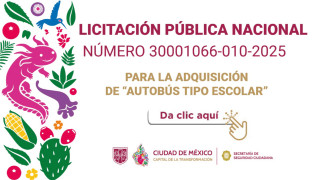 BannerLPN10autobus.jpg