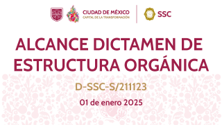 Bannner_AlcanceDictamen010125.png