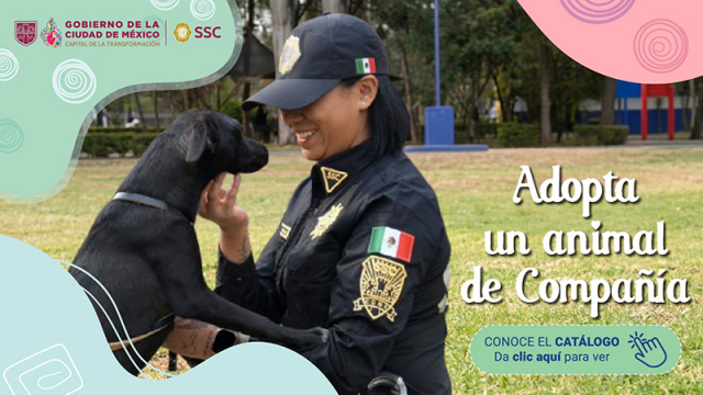 Catálogo Adopta un Animal de Compañía