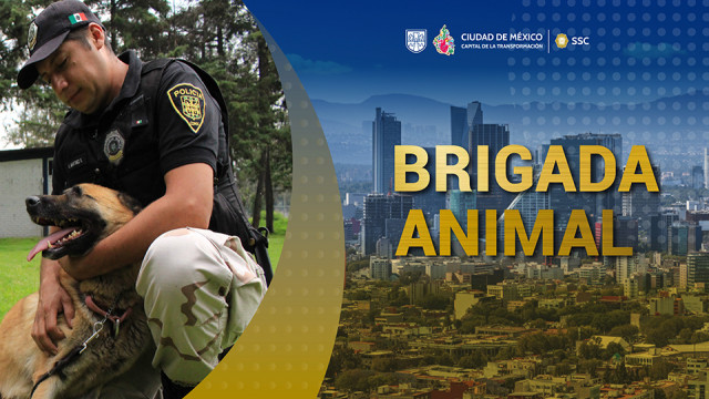 BRIGADA DE VIGILANCIA ANIMAL-01.jpg